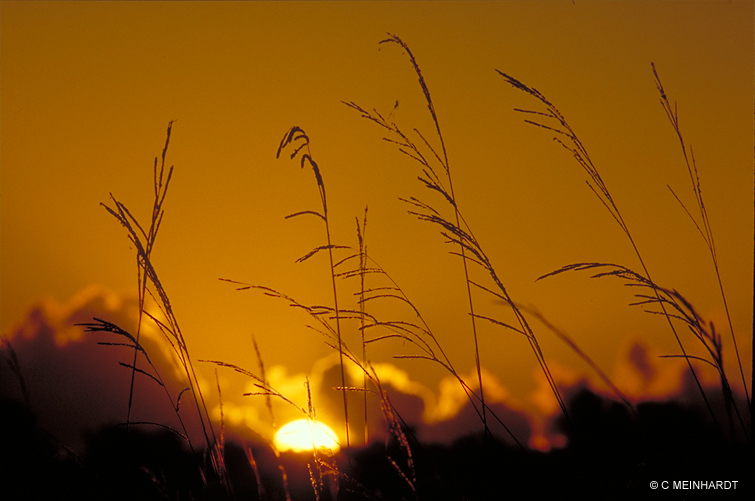 Photo 4 from ARMAND BAYOU NATURE CENTER INC